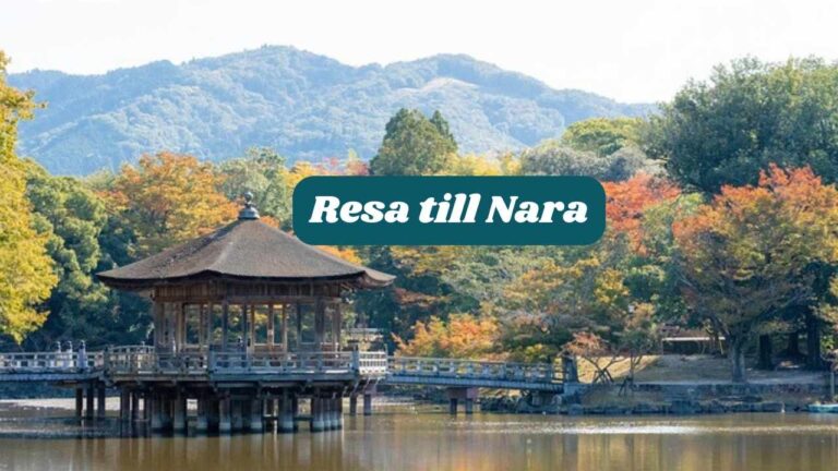 Resa till Nara 2025: Bästa attraktioner och resetips 8 Resa till Nara 2025