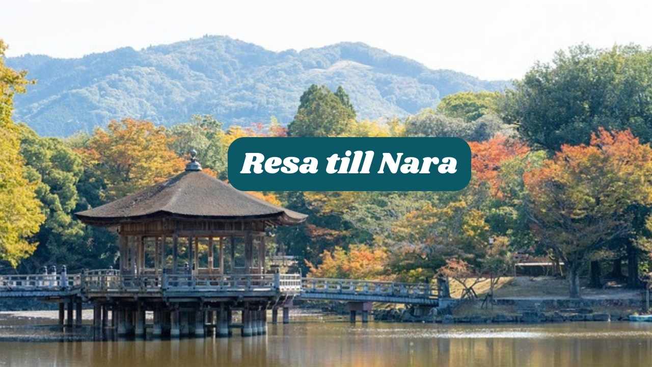 Resa till Nara 2025: Bästa attraktioner och resetips 1 Resa till Nara 2025