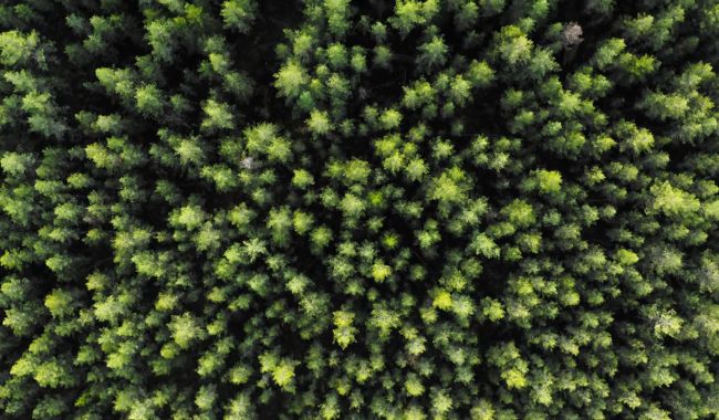 Sara Kulturhus Skellefteå