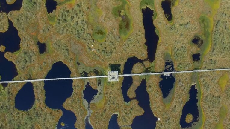 Resor till Estland 2025 – bästa platserna och stränderna att besöka 13 Resor till Estland