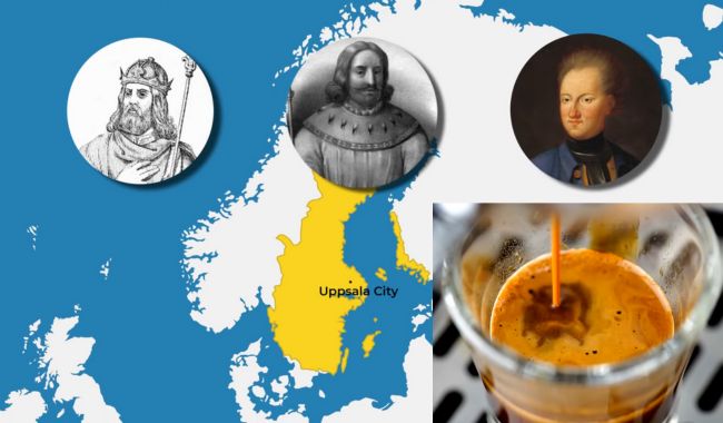 Svensk Fika-guide: Traditioner, godsaker, recept och tips 2 Svensk Fika historia