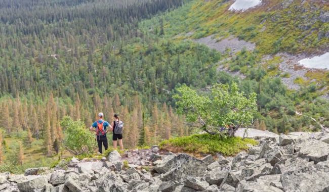 Oförglömliga Viltsafari i Sveriges nationalparker 3 Abisko nationalpark i Sveriges