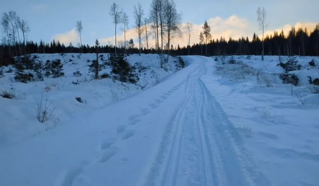 Toppleder för Snöskovandring i norra Sverige och bästa tid 2 Abisko nationalpark