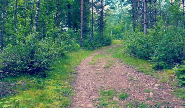 Bästa vandringsleder i Södra Sverige för naturälskare 3 Kust till Kustleden-vandringsleder