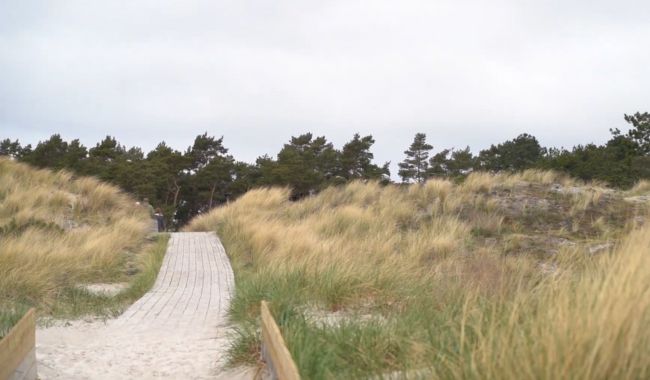 Bästa vandringsleder i Södra Sverige för naturälskare 6 Öresundsleden-vandringsleder