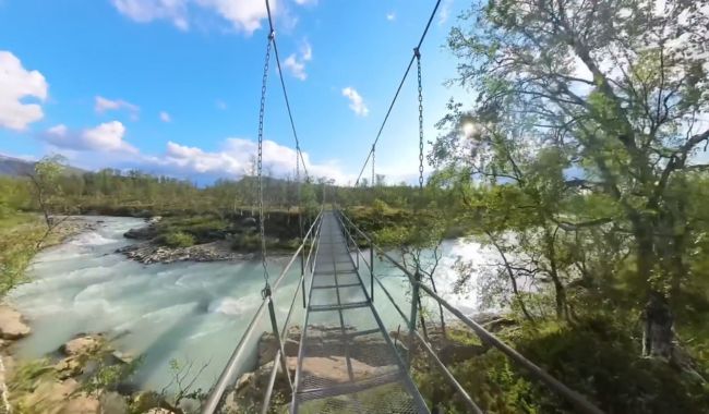 Oförglömliga Viltsafari i Sveriges nationalparker 7 Padjelanta nationalpark i Sveriges