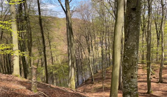 Bästa vandringsleder i Södra Sverige för naturälskare 2 Skåneleden-vandringsleder
